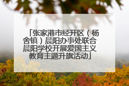 张家港市经开区（杨舍镇）晨阳办事处联合晨阳学校开展爱国主义教育主题升旗活动